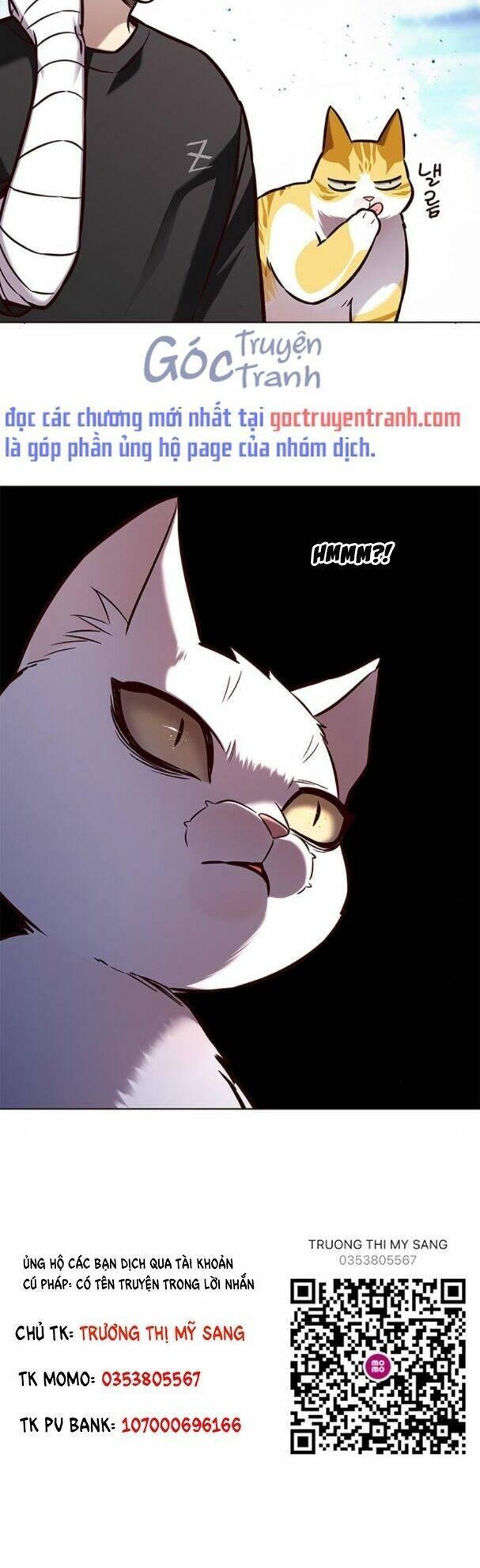 biến thân thành mèo chapter 163 52