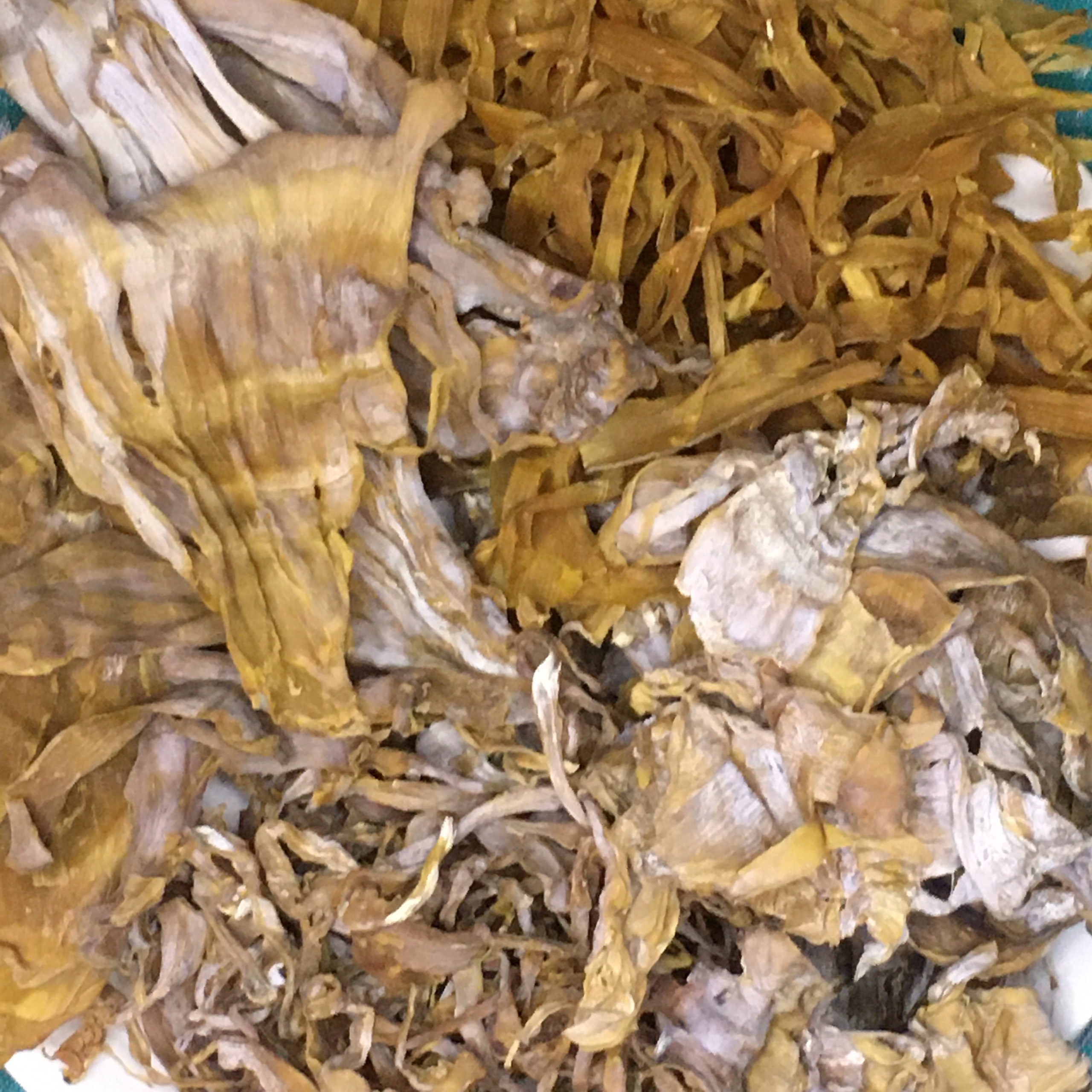 Măng Khô Ngon Sạch Extaste Bamboo Giàu Chất Sơ, Vitamin Và Khoáng Chất- Phù Hợp Các Món Vịt Nấu Măng, Miến Măng Gà, Hầm Chân Giò, Măng Kho Cá - Combo 4 x 200gram Nhiều Hơn, Dễ Bảo Quản Hơn