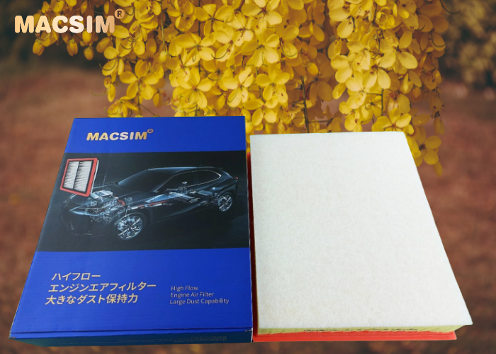 Lọc động cơ cao cấp BMW X6 2008-2010 nhãn hiệu Macsim