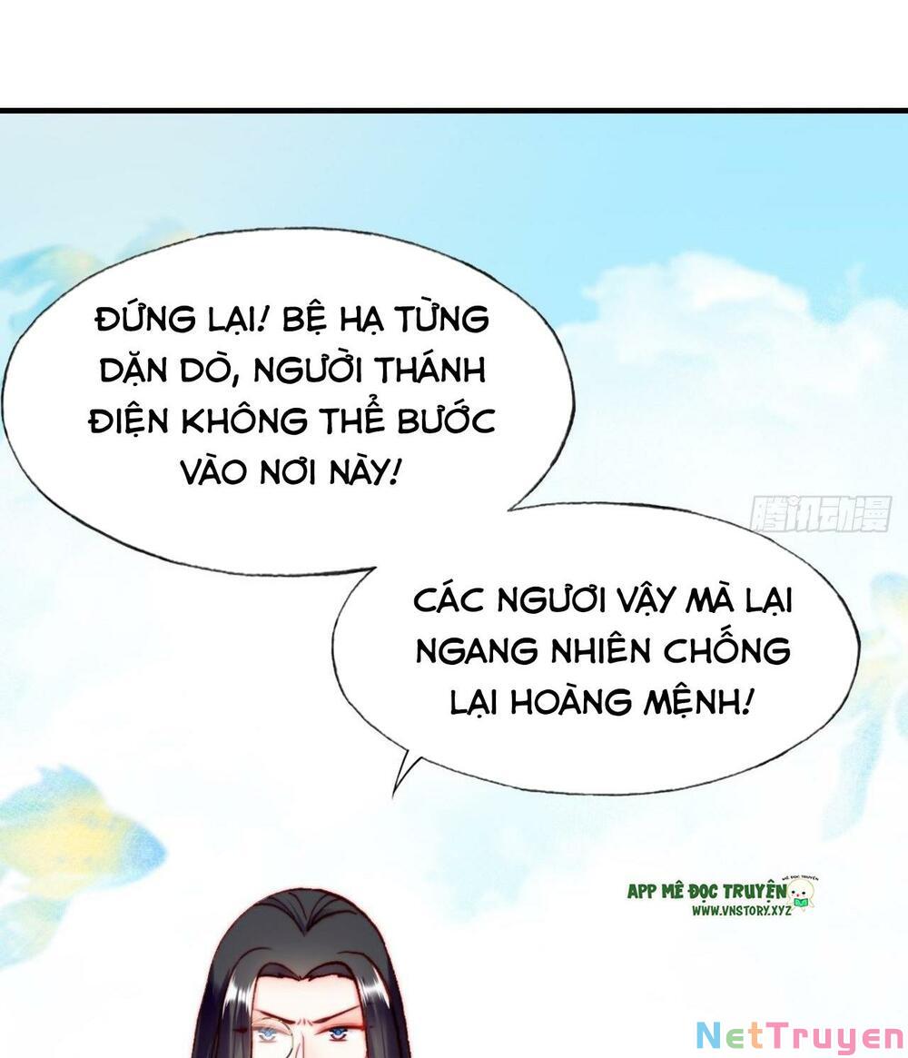 lại bị bệnh chiều chuộng quấn lấy chapter 81 49