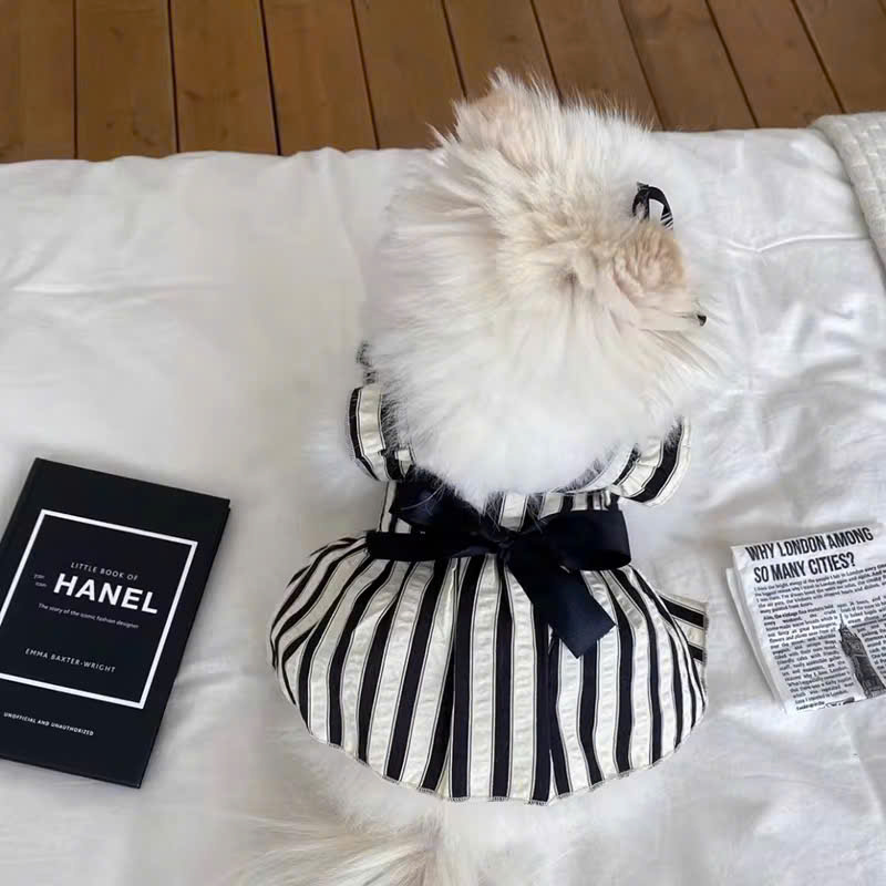 ĐẦM ĐEN SANG TRỌNG TỪ 0.2-7.5KG DÀNH CHO THÚ CƯNG CHÓ MÈO