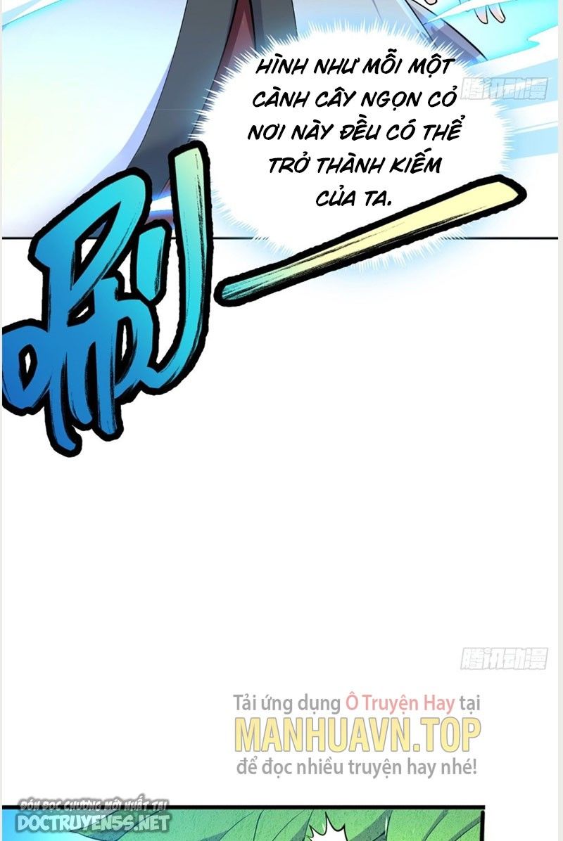 bắt đầu với kiếm vực, ta lặng lẽ tu luyện thành kiếm thần chapter 2 40
