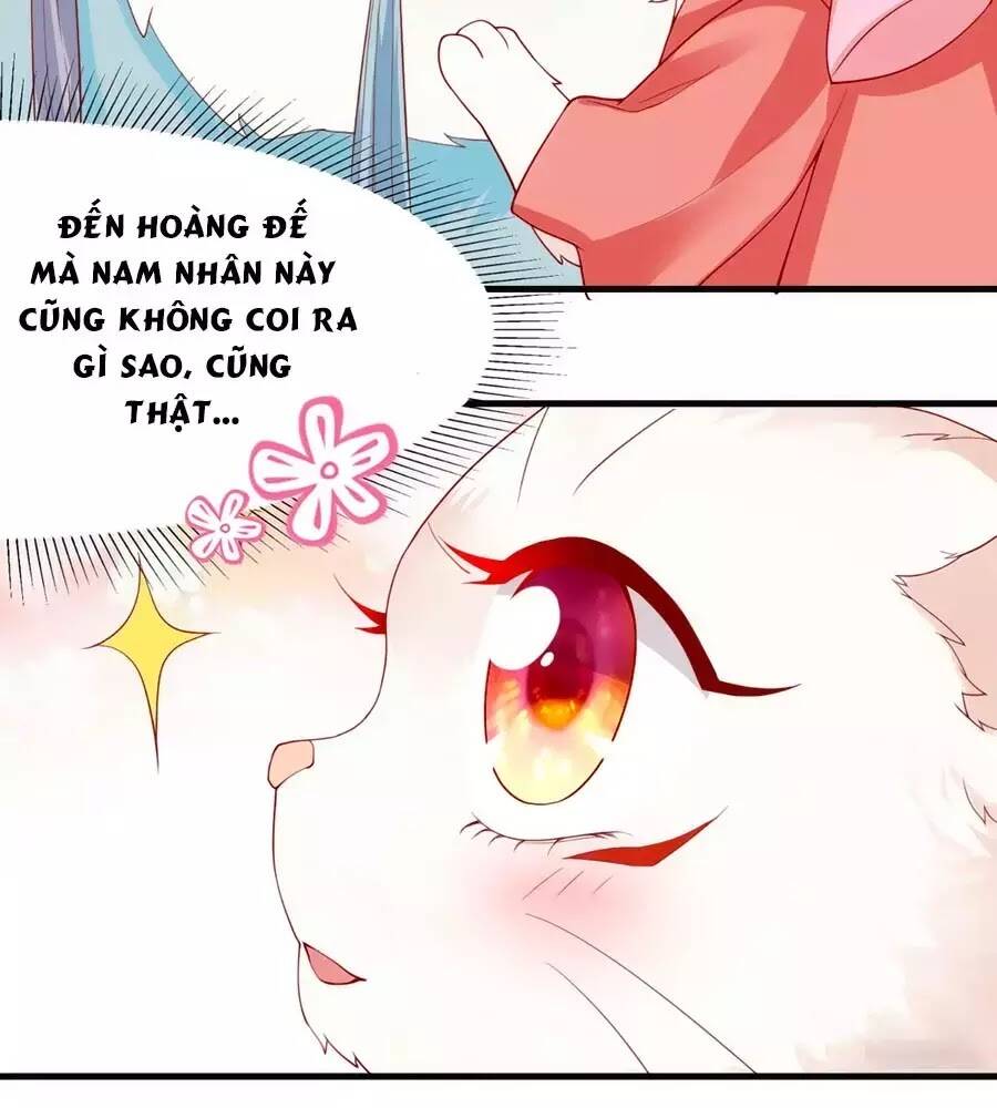 dưỡng thú vi phi chapter 5 119