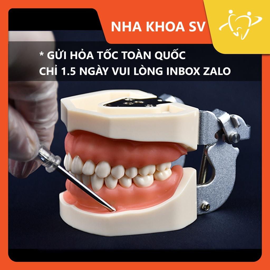 Mẫu hàm Nha khoa cho sinh viên thực tập