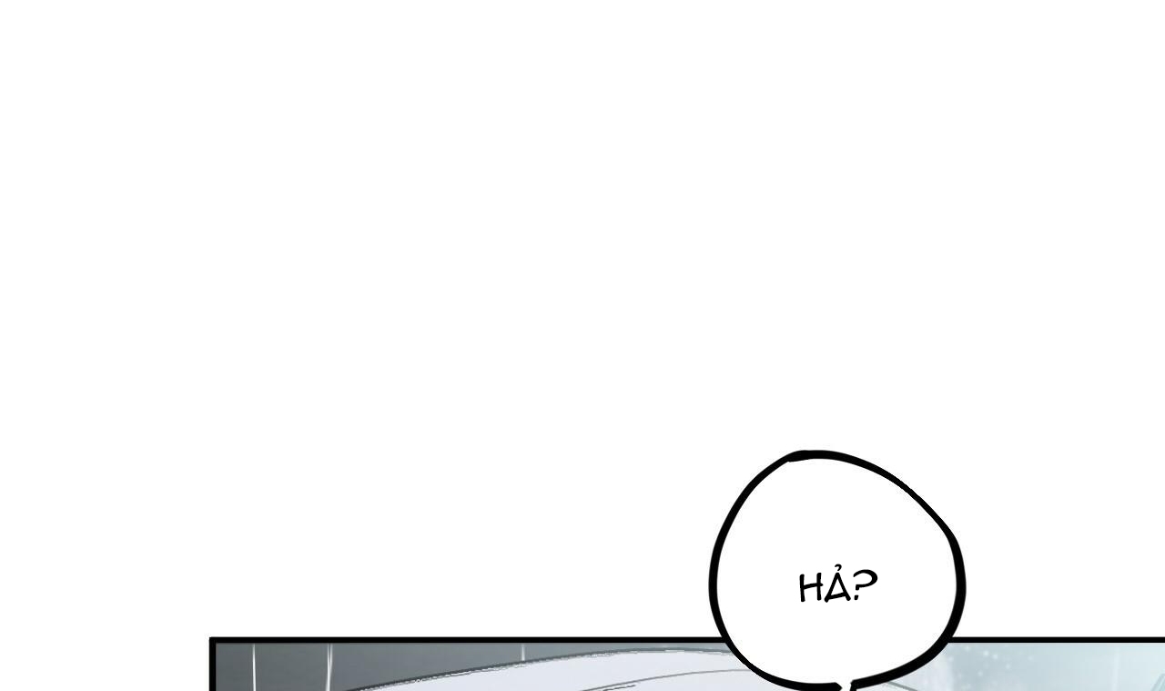 đàn thỏ của habibi chapter 34 240