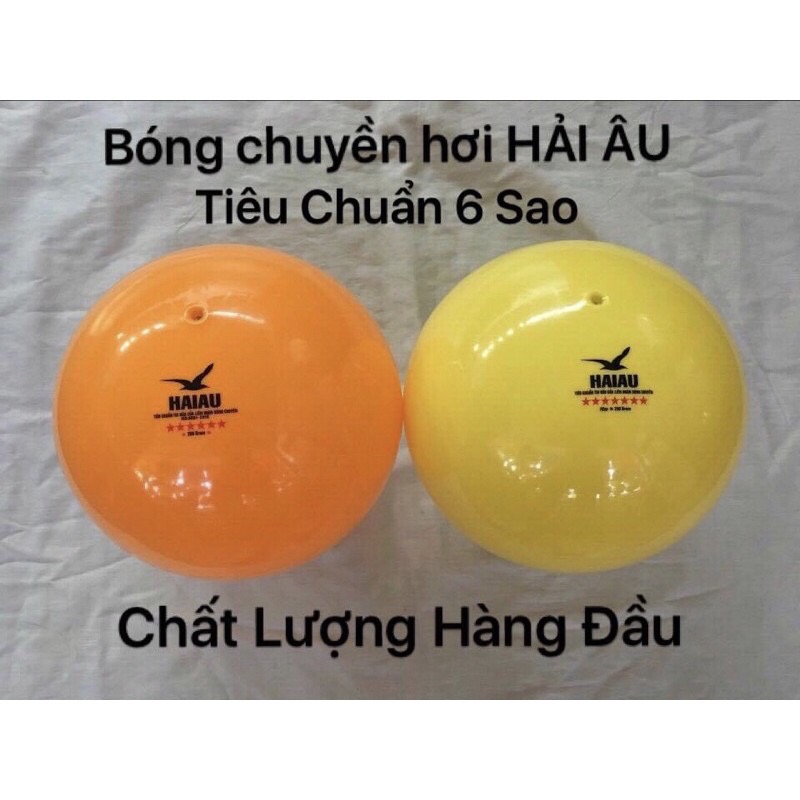 Bóng chuyền hơi Hải Âu tiêu chuẩn thi đấu 200g và 250g tặng kèm kim bơm