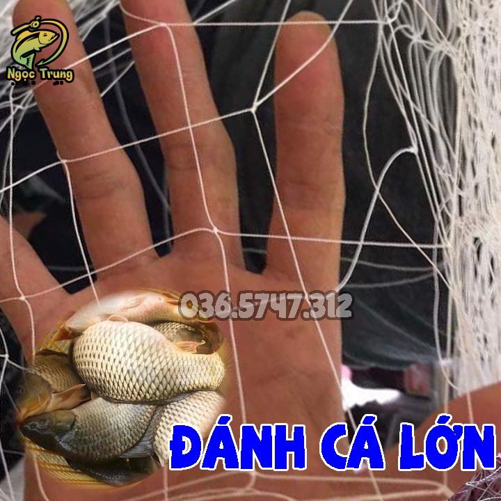 Lưới Dù Bắt Cá Ao, Cá Thịt 3 Màn. Cao 2m Dài 60m Mắt Then 4-5-6, Dù Sợi 2 || Lưới Đánh Cá A Trung