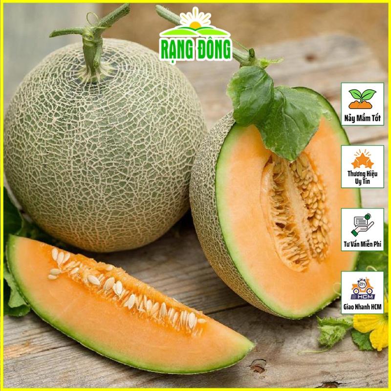 Hạt giống Dưa Lưới Ruột Vàng Lai F1, Chịu Nhiệt Tốt, Trồng Quanh Năm - Hạt giống Rạng Đông
