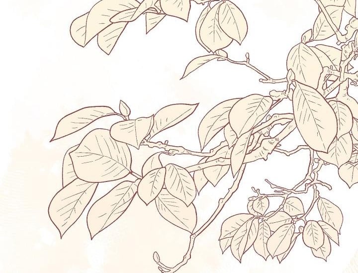 chuyện tình manhattan chapter 43 92