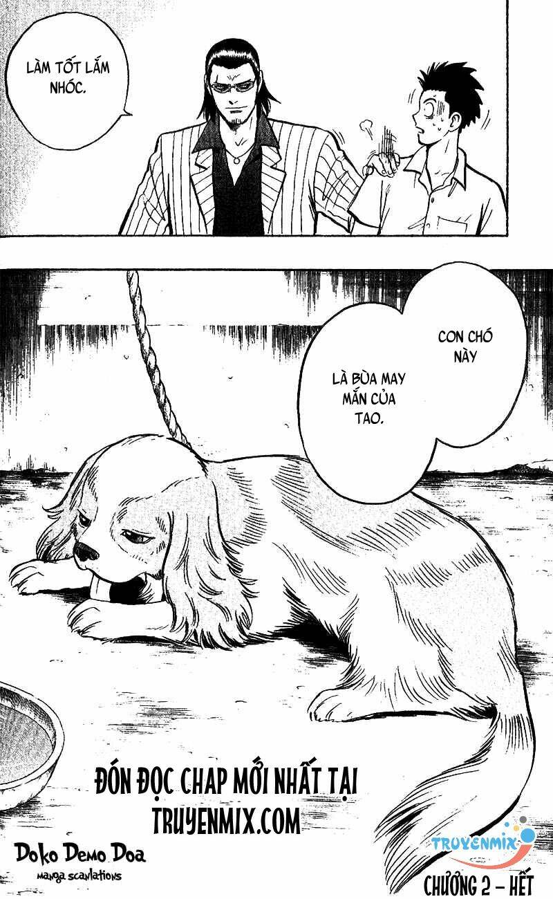 animal sense chapter 2 47