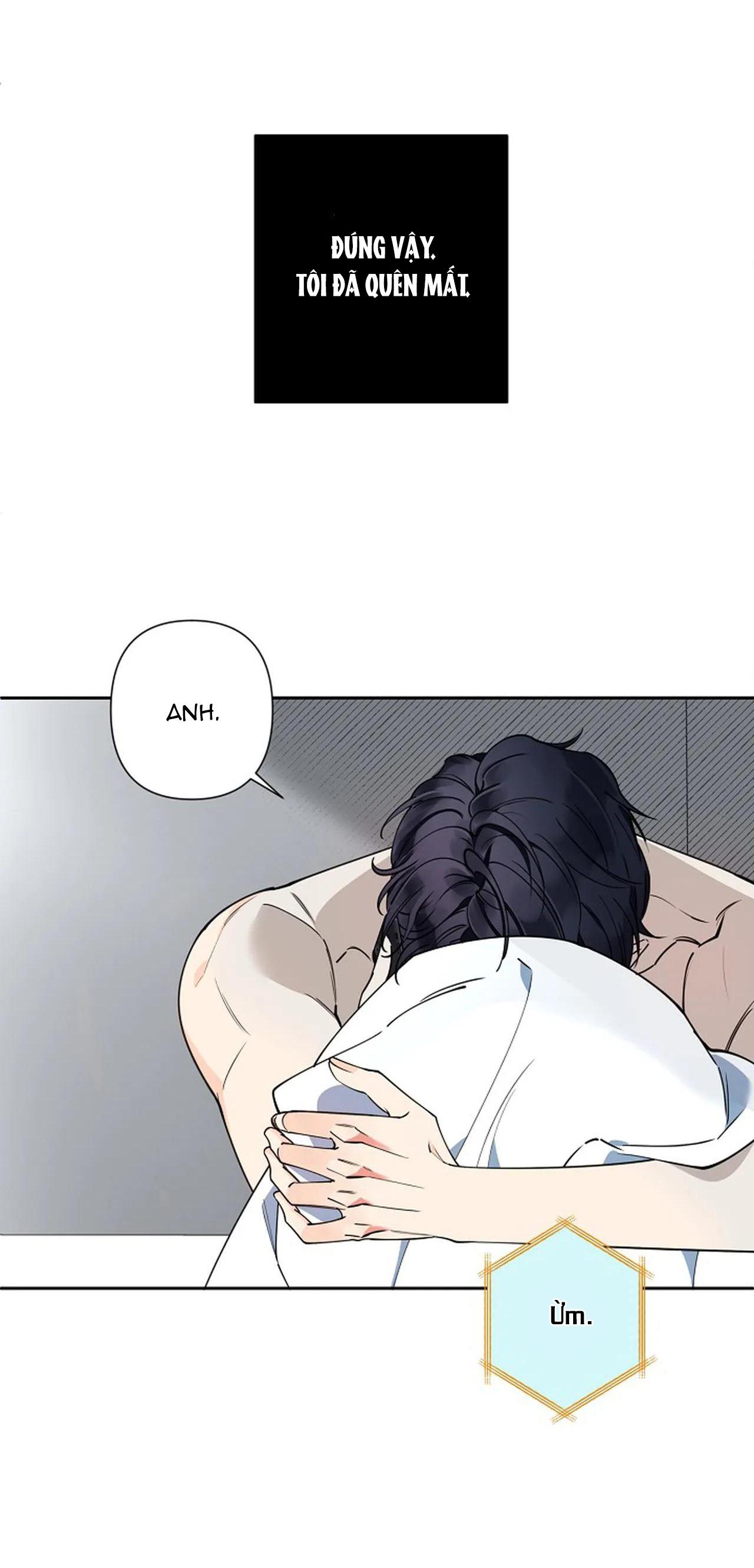 đêm dịu dàng chapter 16 25