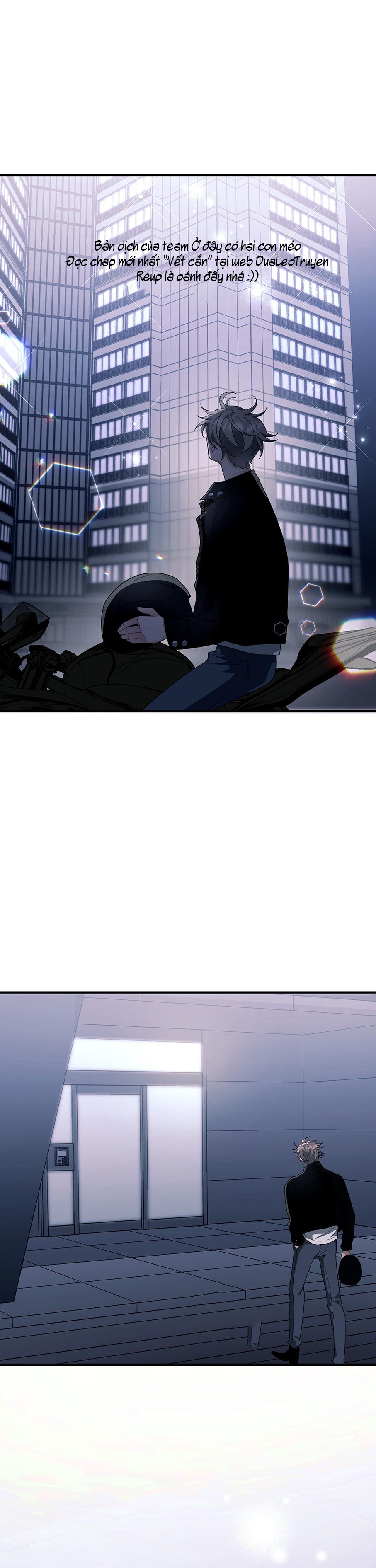 vết cắn tình yêu chapter 11 4