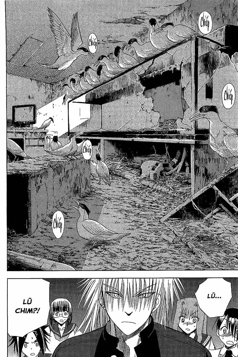 cage of eden chapter 105 5