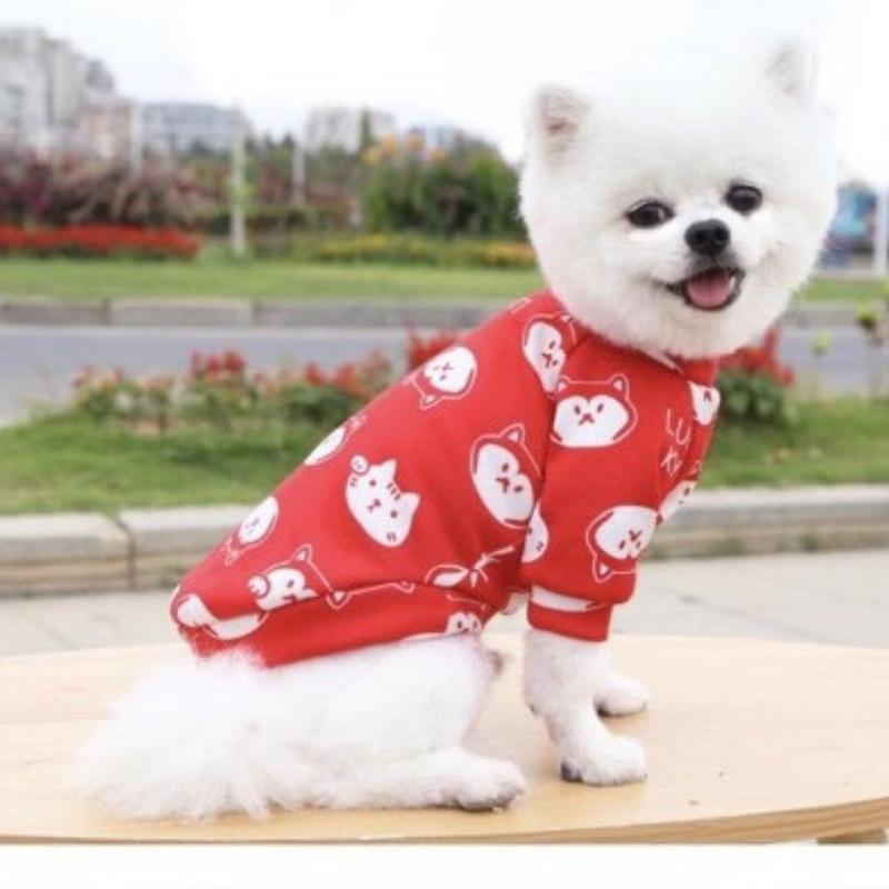 Áo cho chó mèo mẫu áo nỉ mùa đông xinh xắn