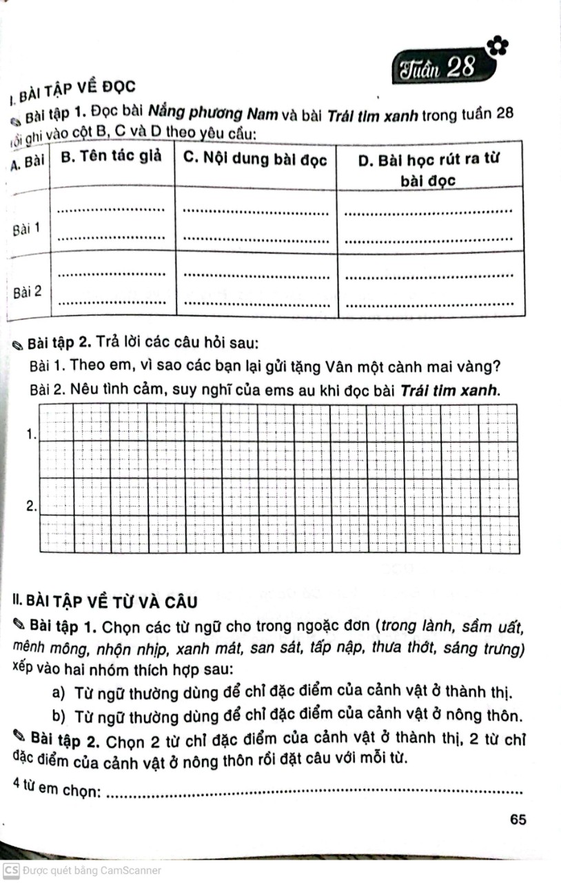 Vở bài tập cuối tuần tiếng việt 3 (Dùng kèm bộ sách Chân trời Sáng Tạo )