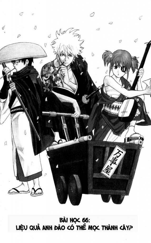 gintama - linh hồn bạc chapter 66 1