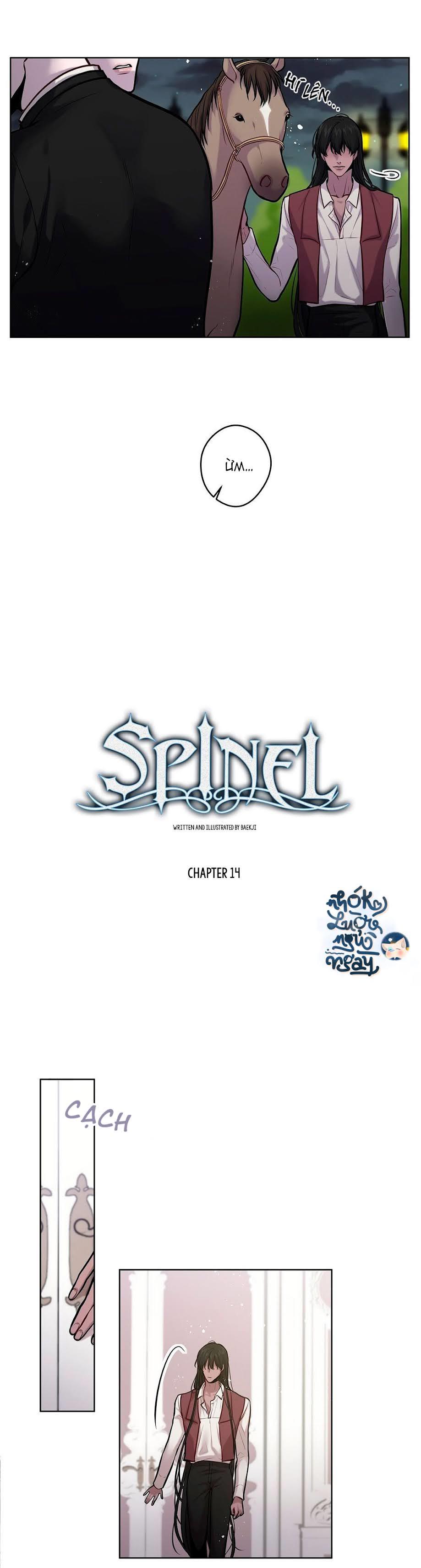 Spinel chapter 14