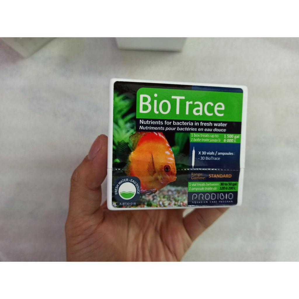 VI SINH PRODIBIO BIOTRACE - Vi sinh cao cấp hồ cá - hồ thủy sinh