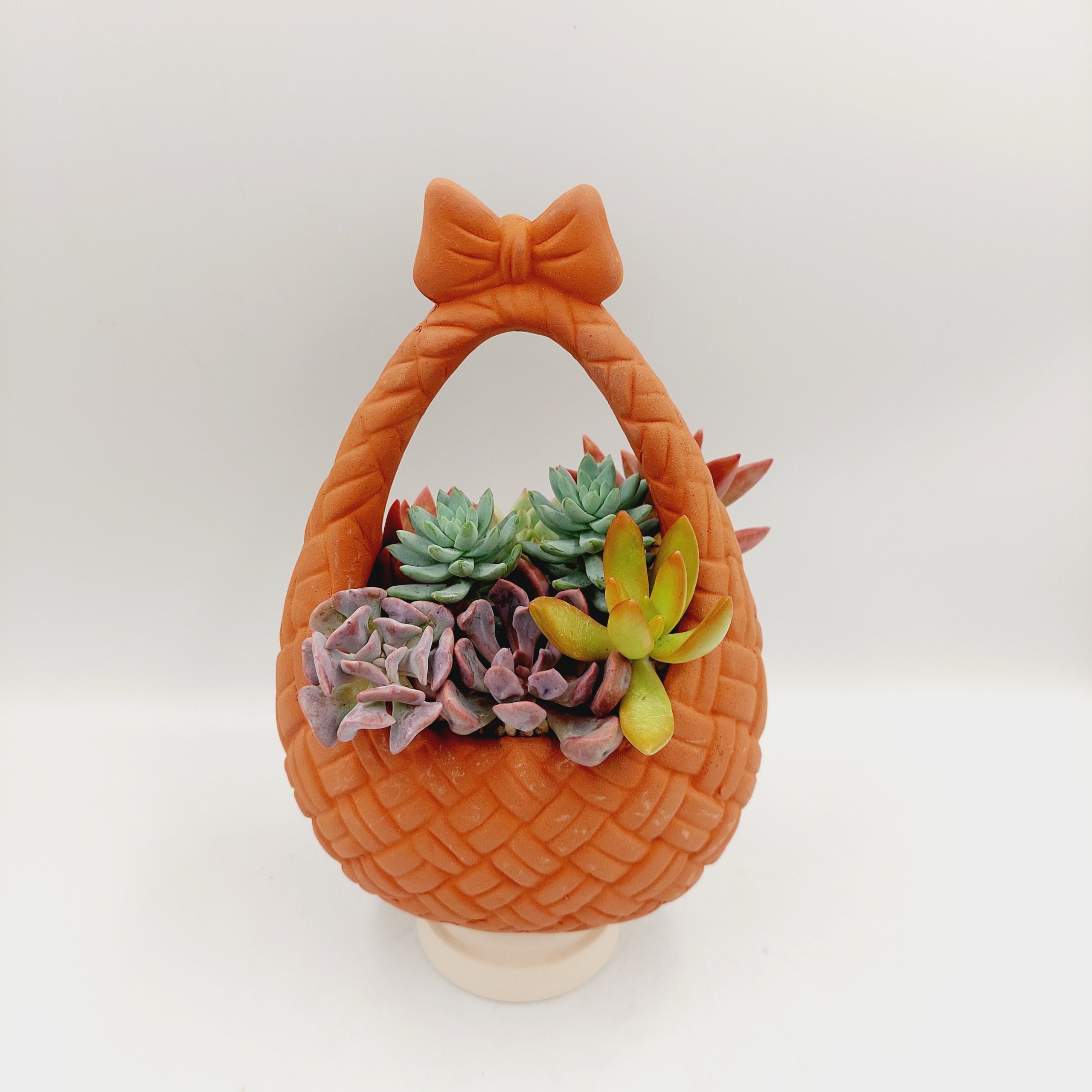 Chậu đất nung, chậu sen đá -Giỏ nơ, miệng chậu , chiều cao 20cm