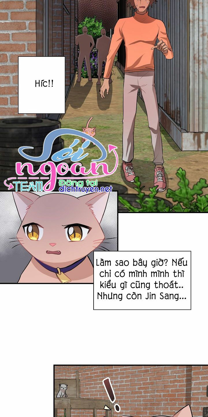 cuộc sống kỳ thú chapter 26 33