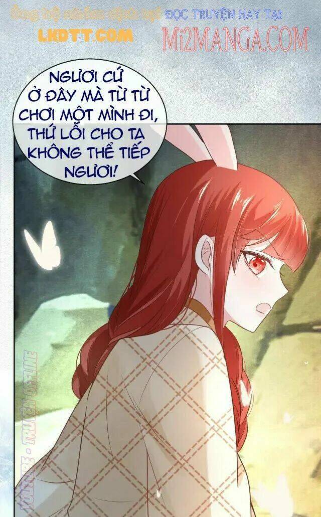 hắc hóa nam chính trực tuyến nuôi thỏ chapter 42 16