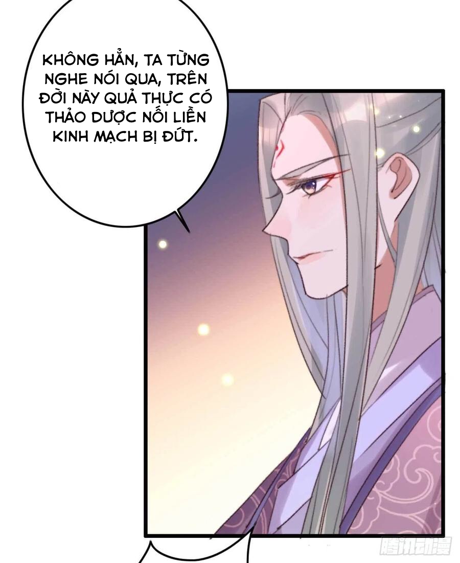 đế tôn cuồng sủng: thần y đặc công phế tài phi chapter 8 23