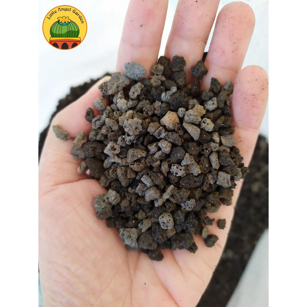 1KG Đá nham thạch đen hoặc đỏ size 3-6mm | Lava đen đỏ | Đá Scoria| đá rải mặt xương rồng sen đá, lithops