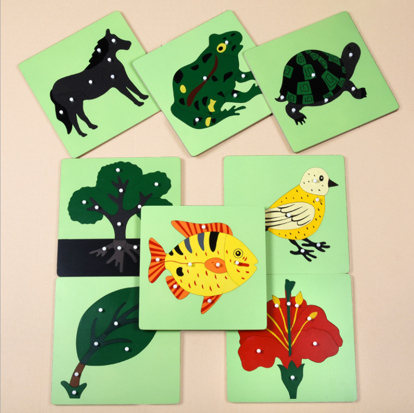 Tranh ghép sinh học Montessori - Puzzle