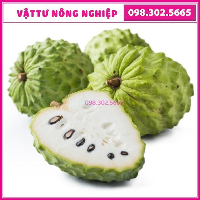 Cây giống na dứa Đài Loan