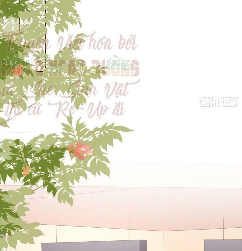 bạn gái tôi mới 30+ tuổi xuân chapter 73 29