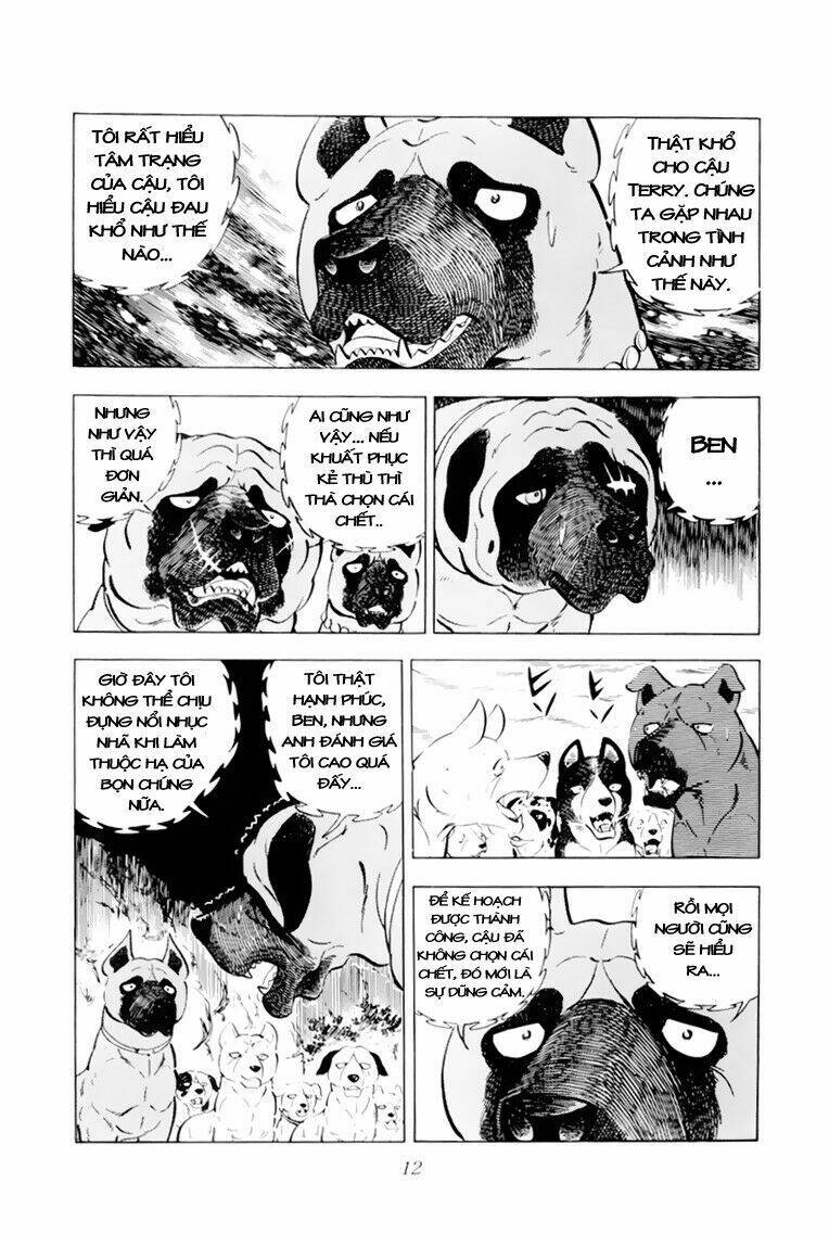 chú chó có nghĩa - ginga nagareboshi gin chapter 31 13