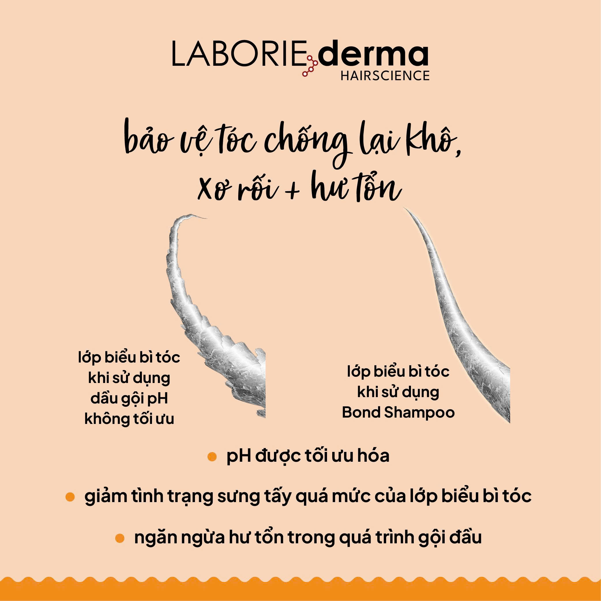 Dầu gội hỗ trợ phục hồi, tăng cường chắc khỏe tóc LABORIE derma Bond Shampoo 250ml