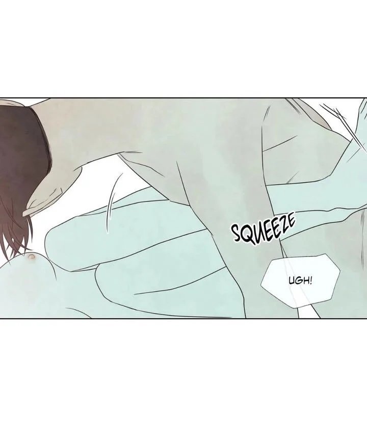 summer solstice point chapter 19 38