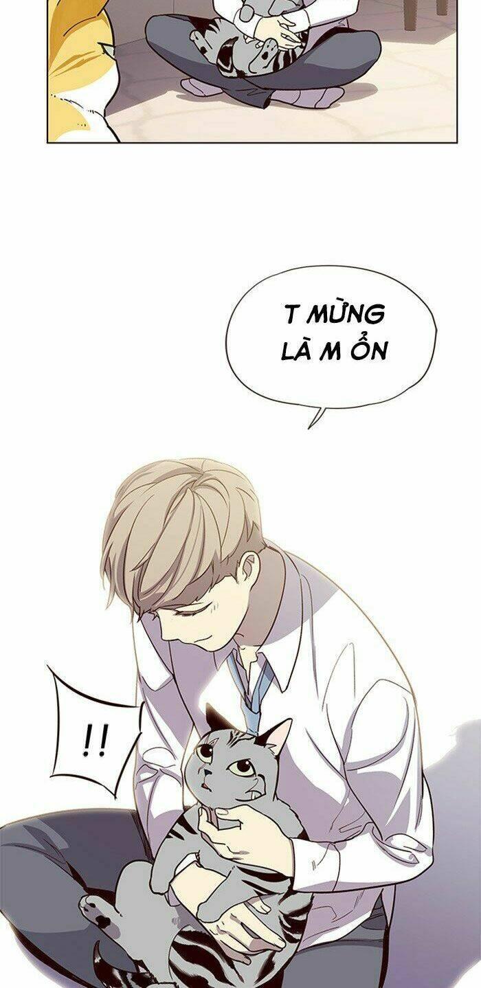 biến thân thành mèo chapter 10 24