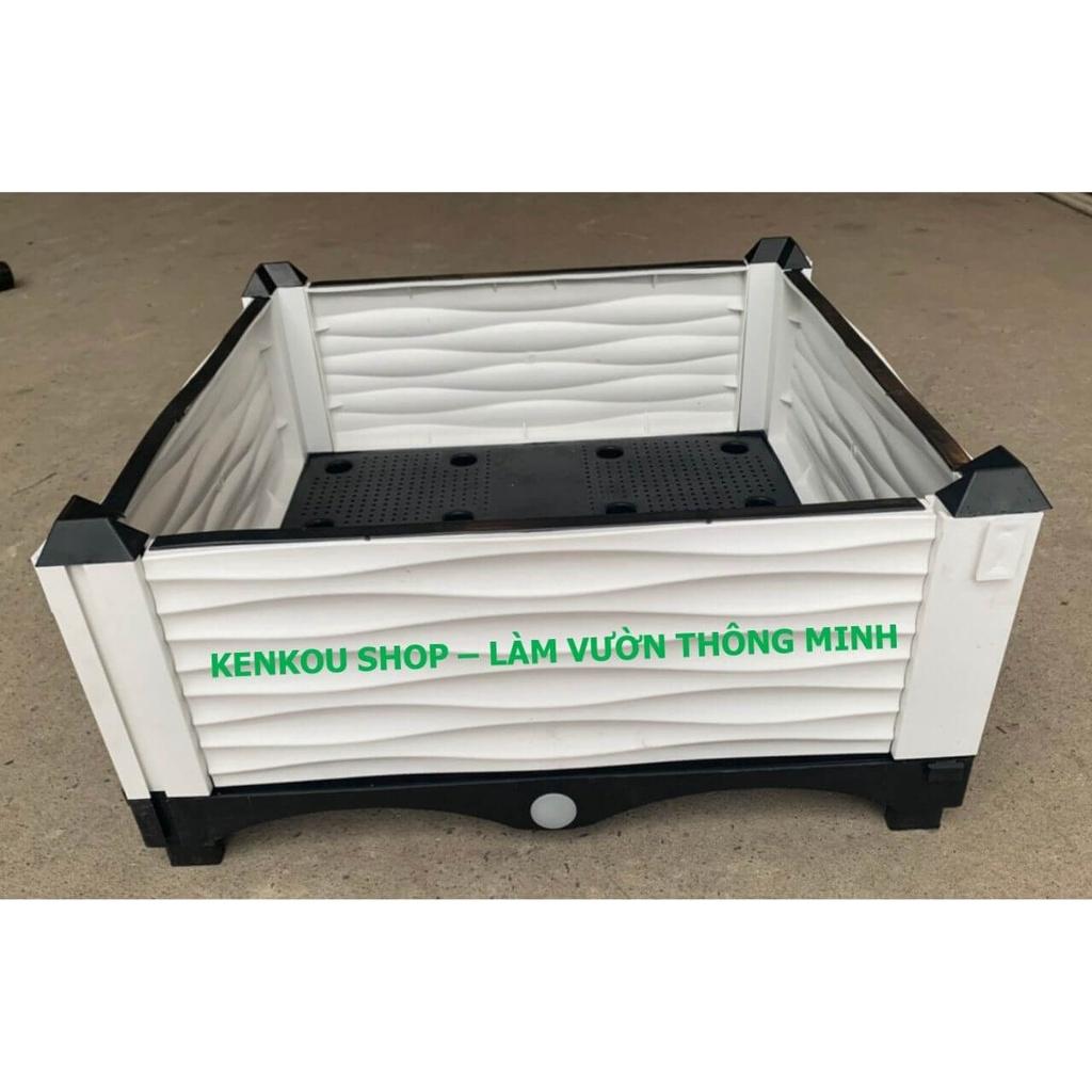 Chậu ghép thông minh 200 x 100 Việt Nam, chậu trồng rau, hoa, cây cảnh