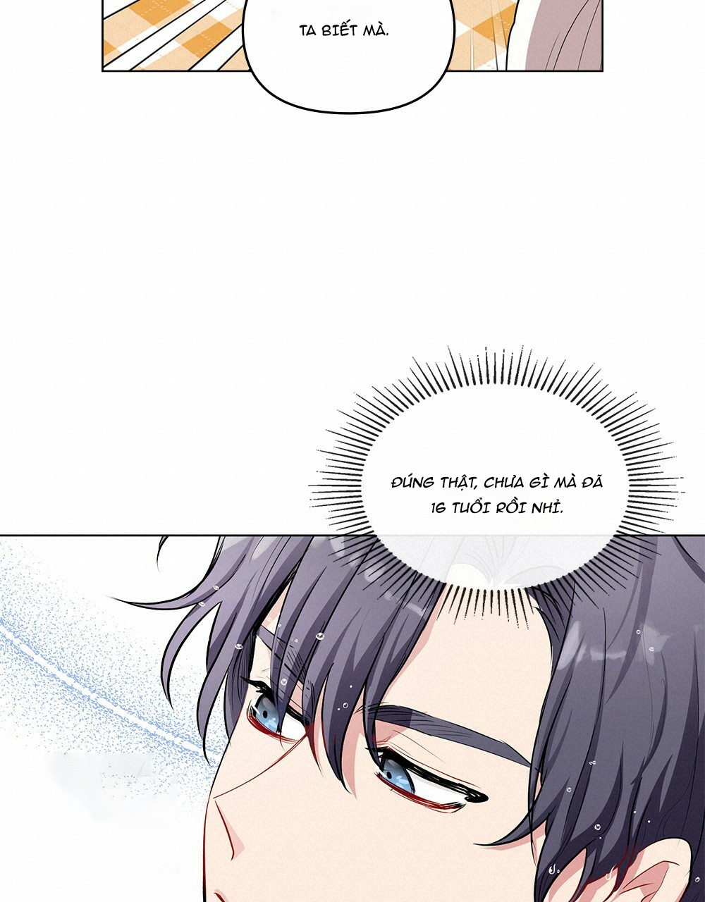 đi tìm nàng camellia chapter 19.2 12