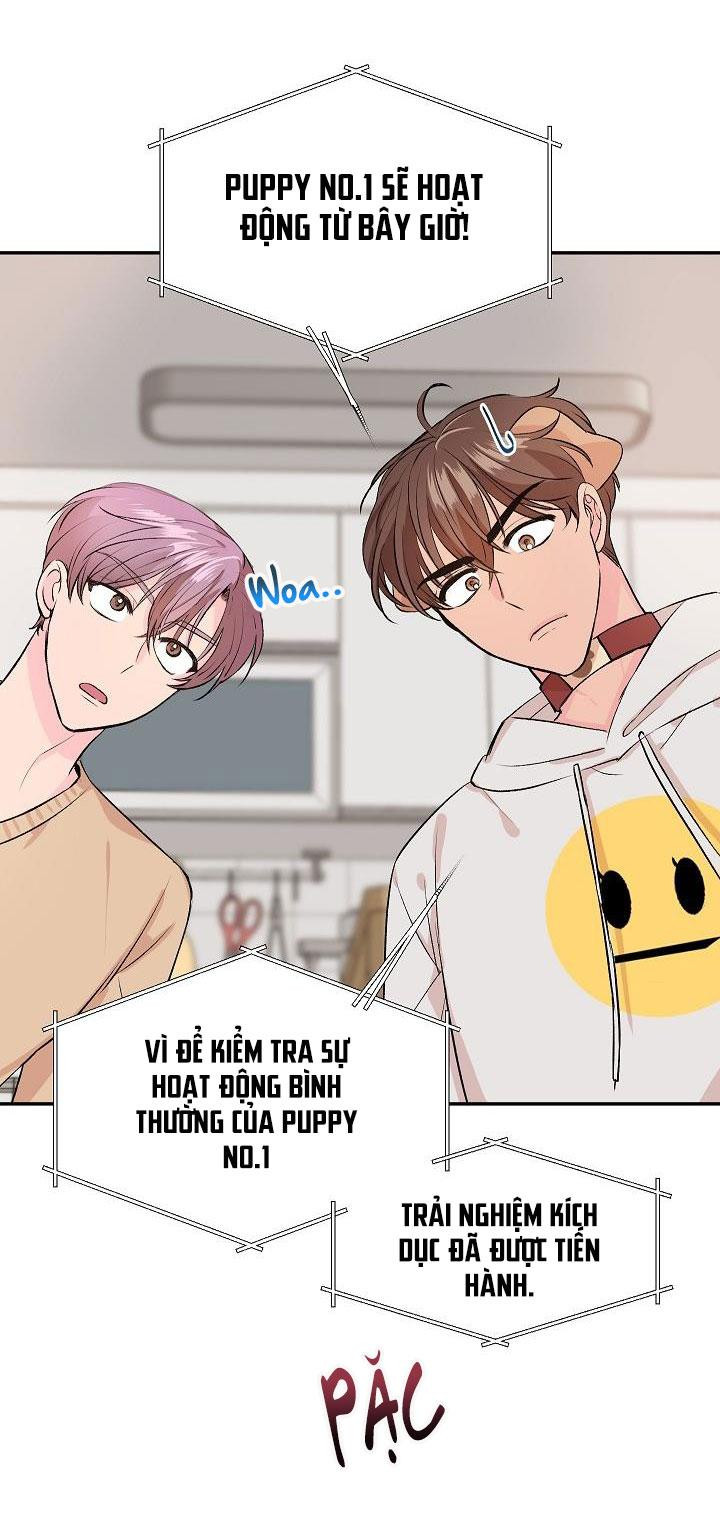 good dog , my boy chapter 1 51