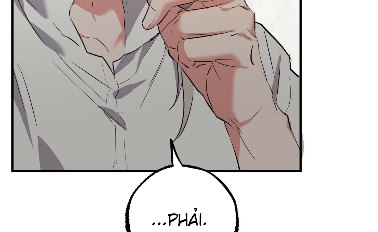 những chú thỏ của hapypy chapter 52 169