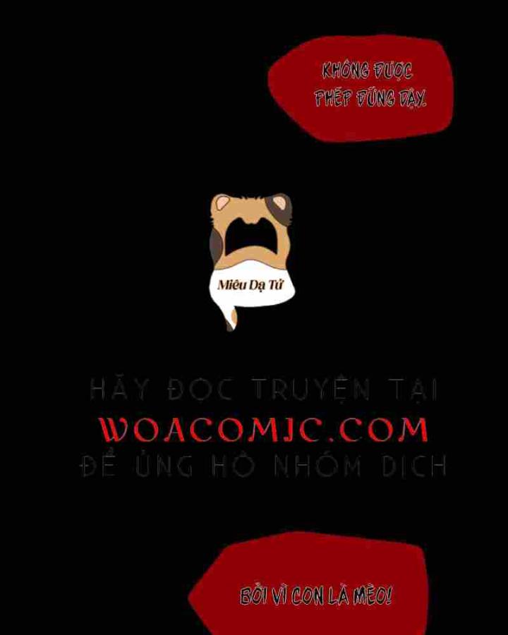 truyện cổ tích trong lòng mèo chapter 1 6