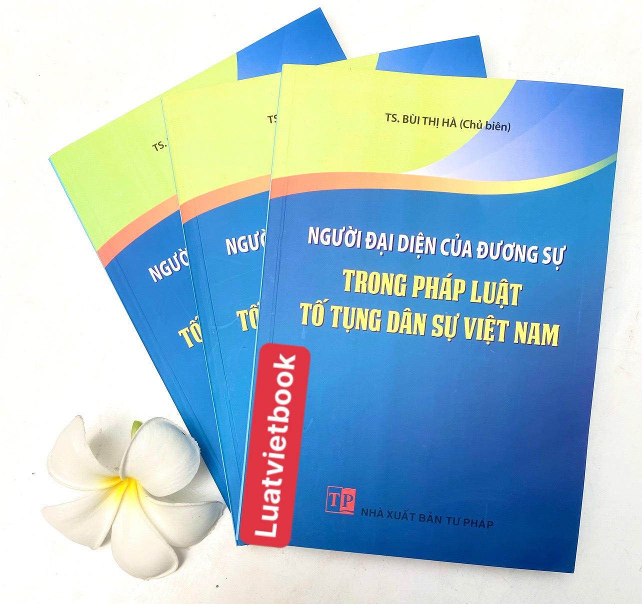 Người Đại Diện Của Dương Sự Trong Pháp Luật Tố Tụng Dân Sự Việt Nam