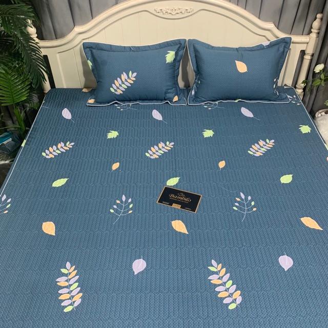 Ga chun trần cotton bambilo