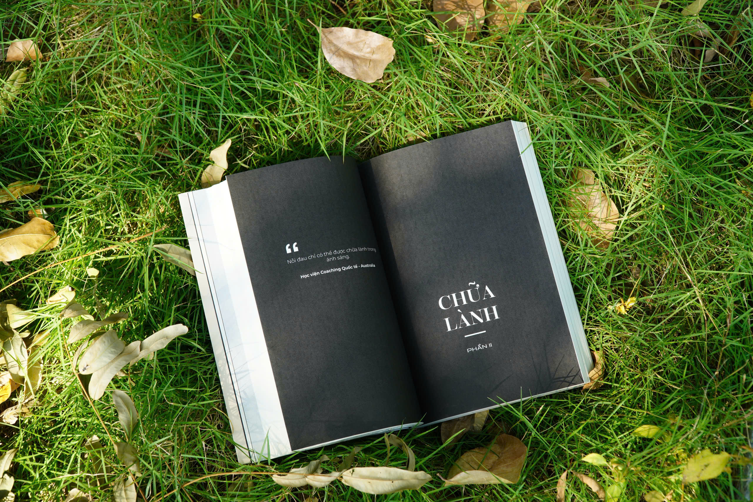 Người Xé Mặt Nạ - Hồi Ký Của Một Life Coach