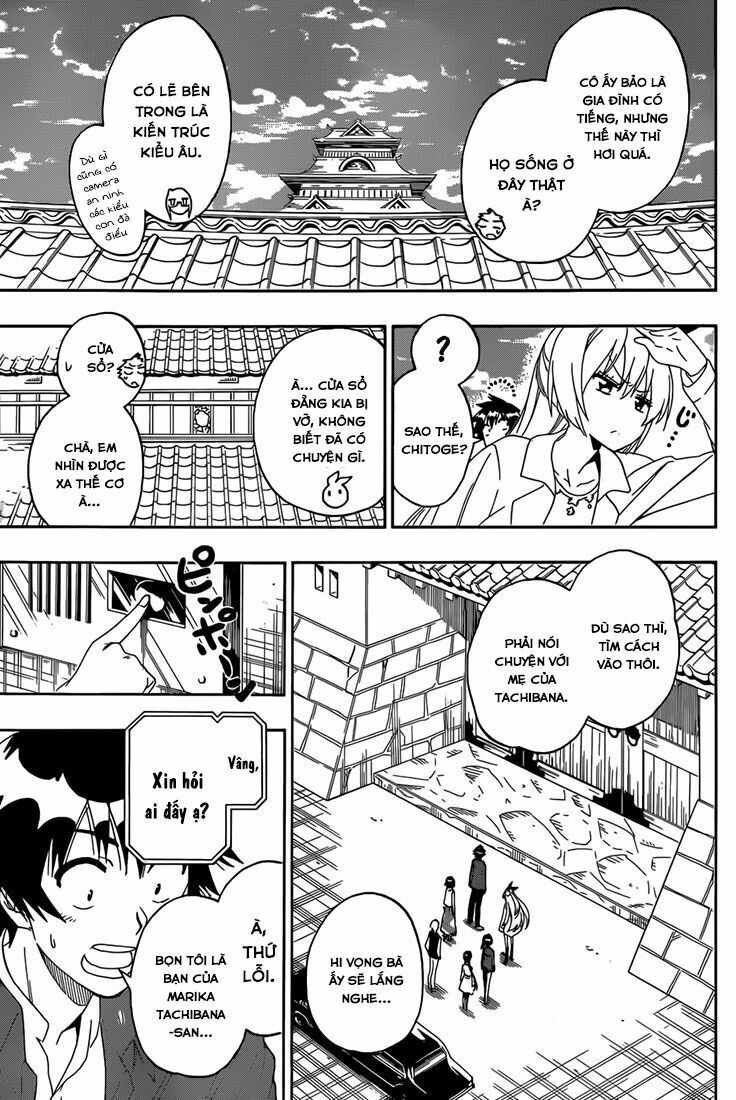 nisekoi - tình yêu giả tạo chapter 183 12