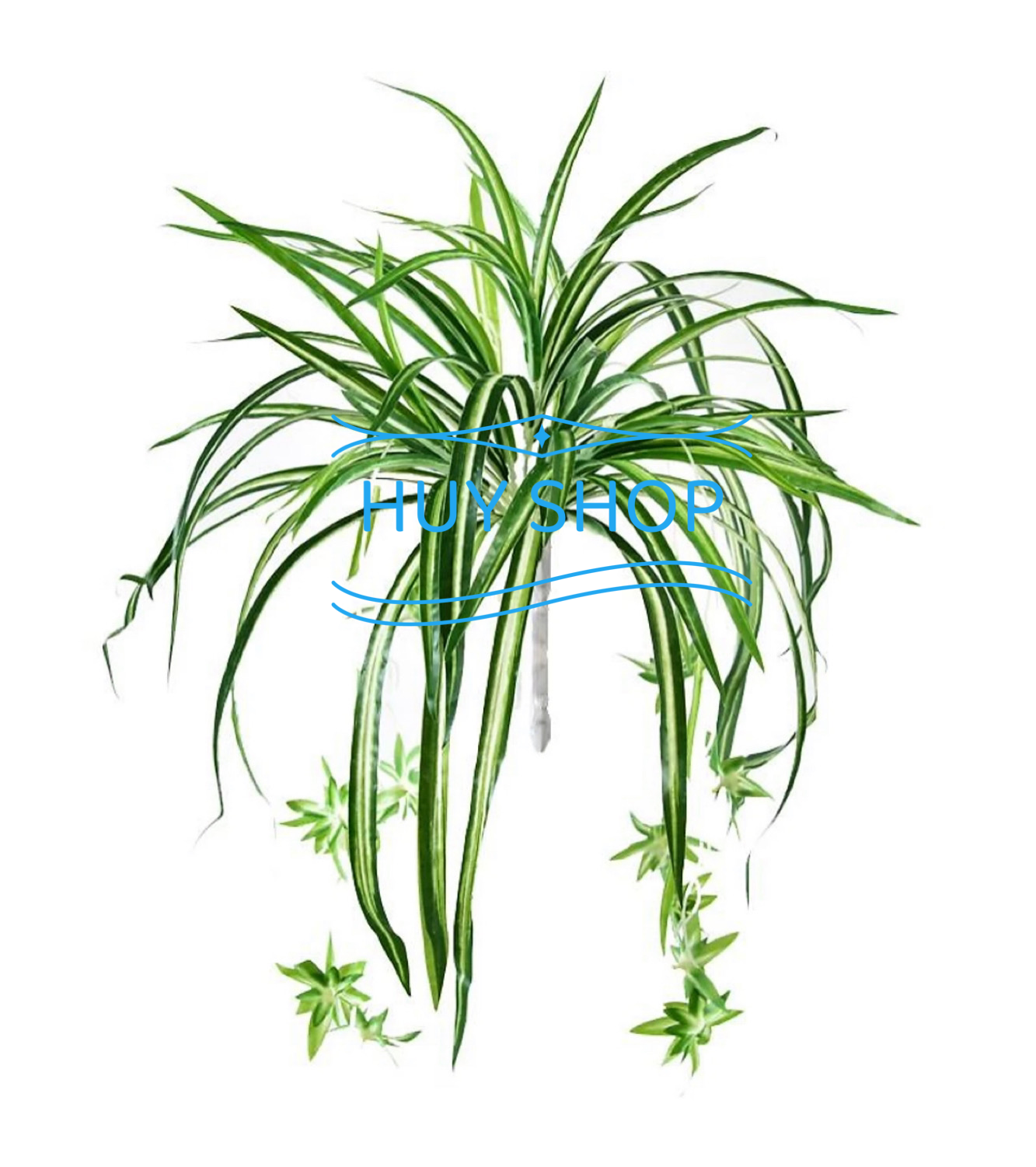 Hoa ĐIỂM nhân tạo trang trí nhà cửa - Dây lá TÓC TIÊN 5 nhánh