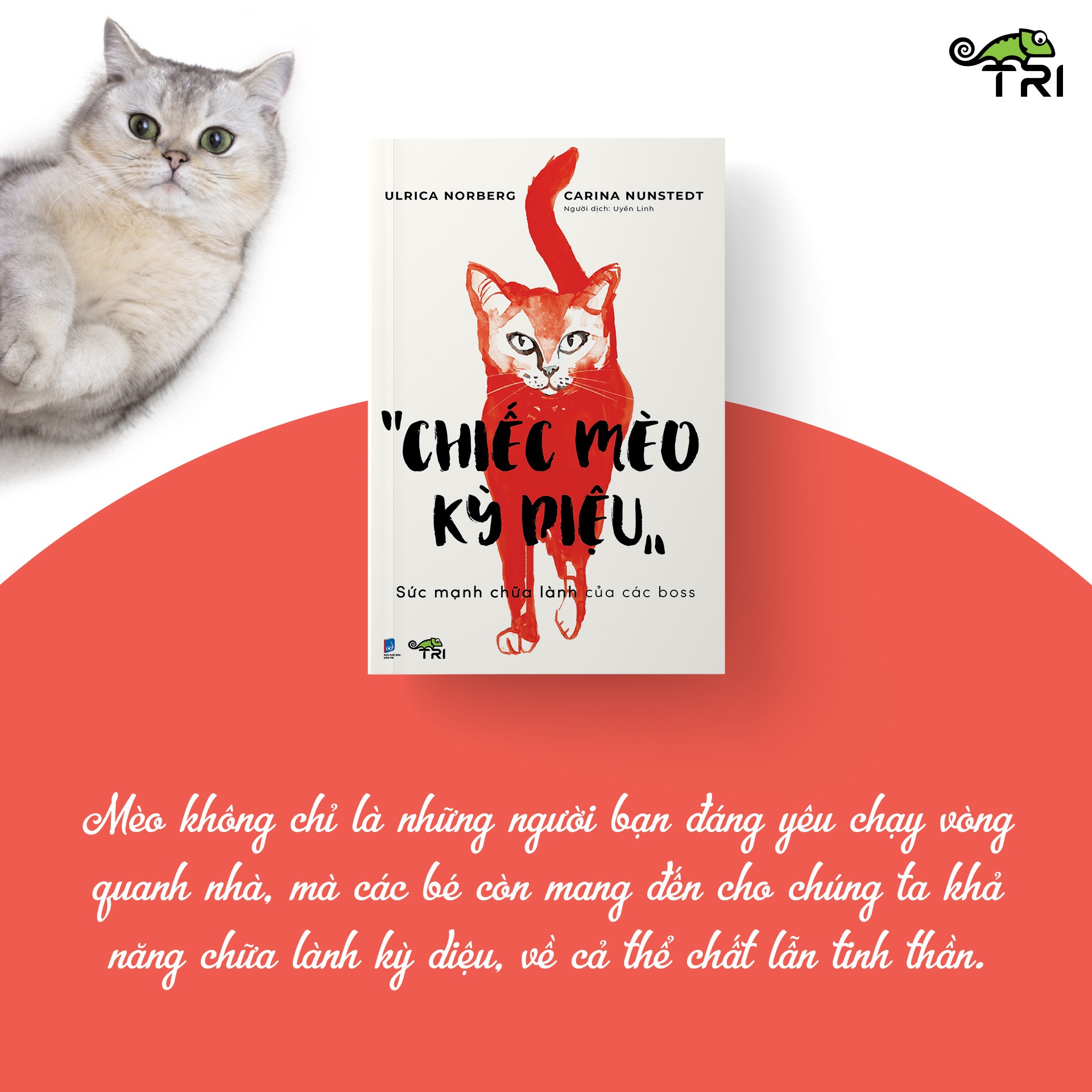 Sách - "CHIẾC MÈO KỲ DIỆU" sức mạnh chữa lành của các boss - Ulrica Norberg, Carina Nunstedt - Uyển Linh dịch - Tuệ Tri