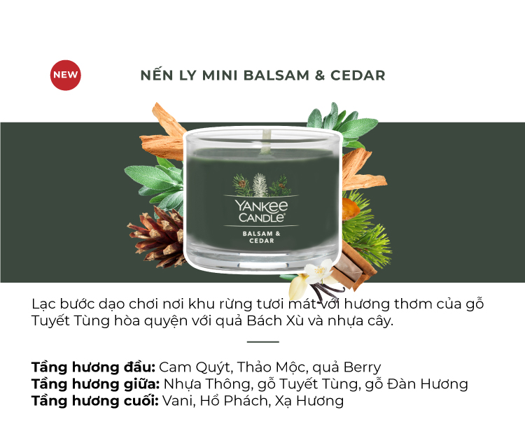 Nến ly mini Yankee Candle (37g) - Balsam & Cedar