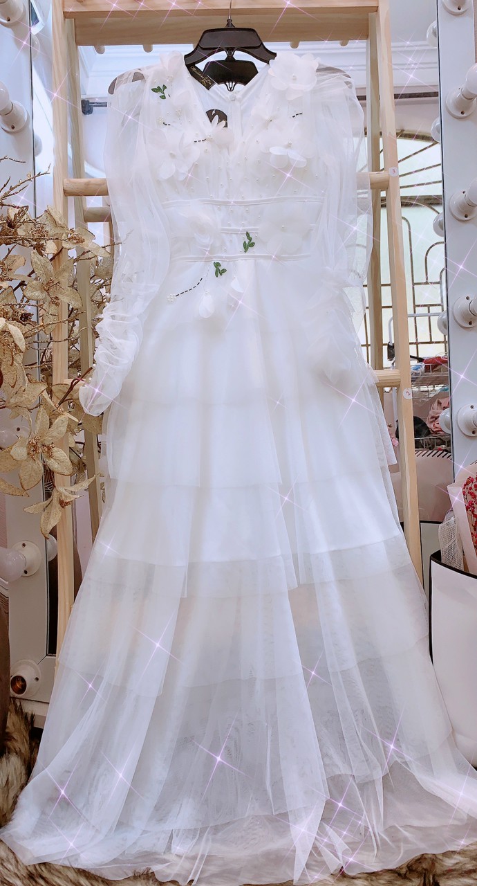 Đầm Maxi Dự Tiệc Tay Dài Đính Hoa Nổi Y Hình