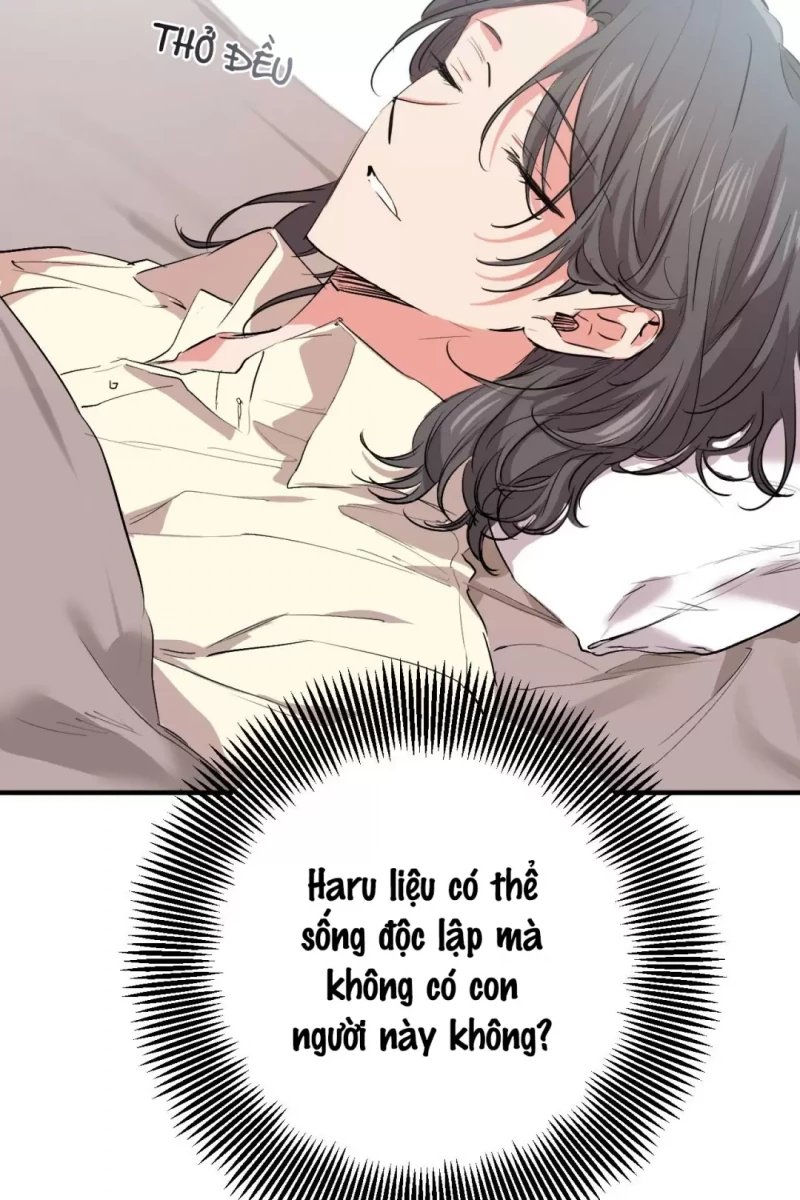 những chú thỏ của hapypy chapter 31.5 22