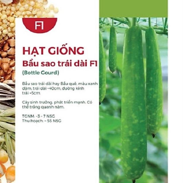 Hạt giống bầu sao  trái dài F1