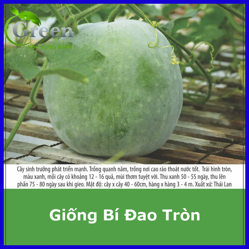 Hạt Giống Bí Đao Trái Tròn Thái Lan